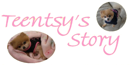 teentys_story