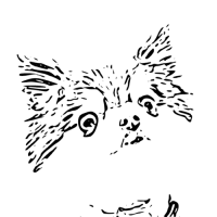 MV LOGO (1)